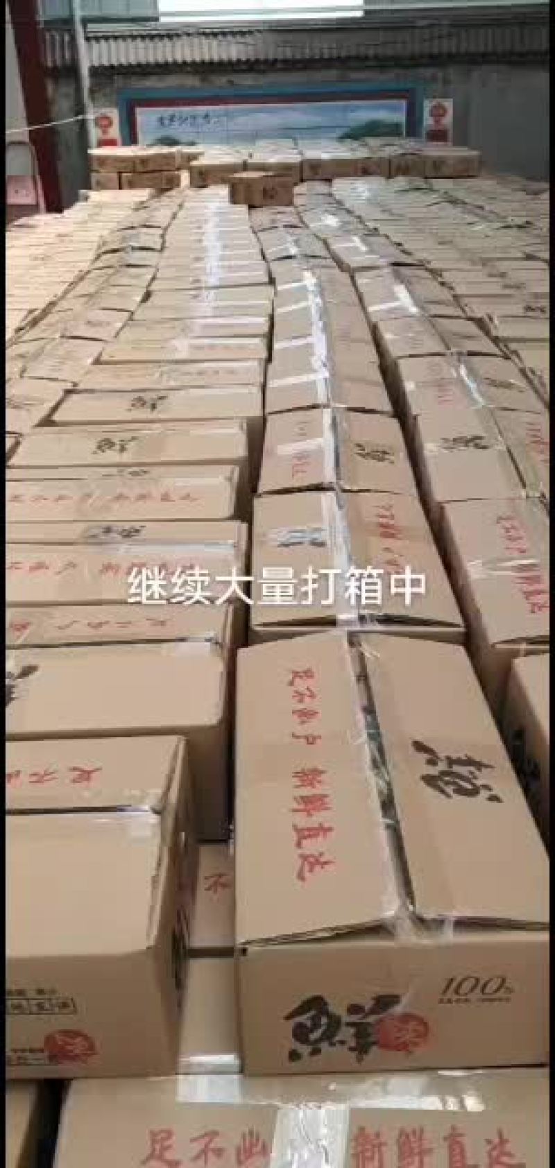 冬枣拐二，对接电商，一件代发产地实力代办