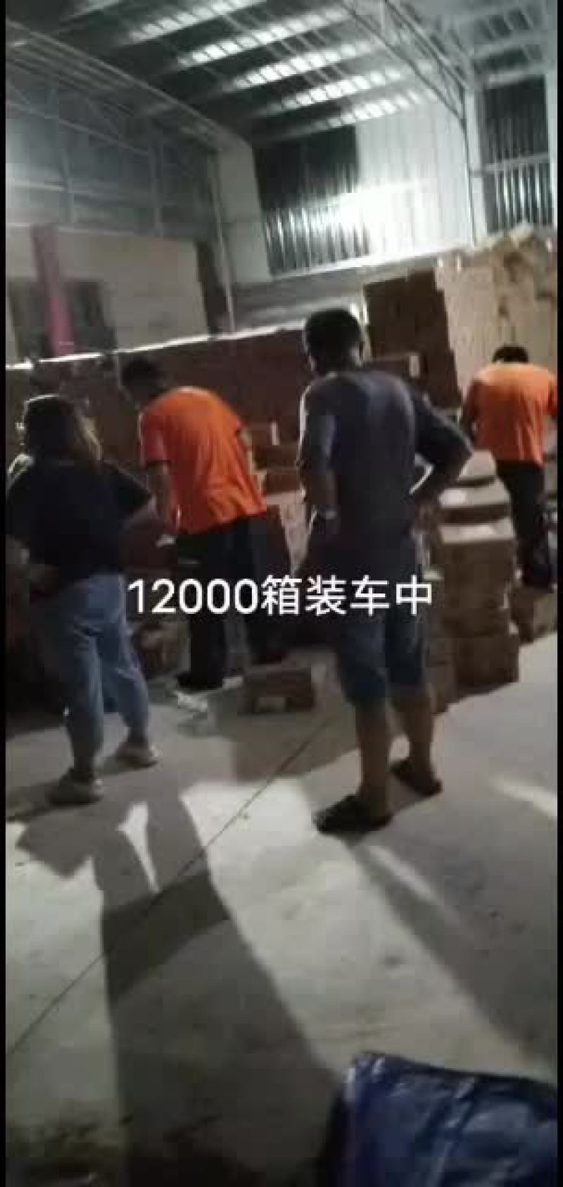 冬枣拐二，对接电商，一件代发产地实力代办