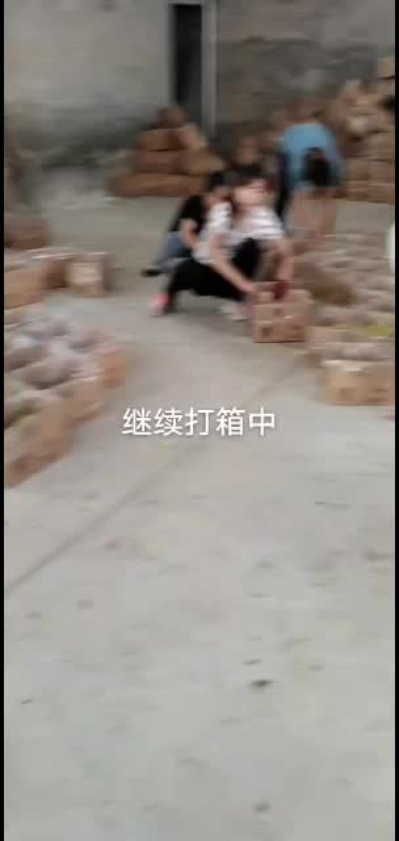 冬枣拐二，对接电商，一件代发产地实力代办