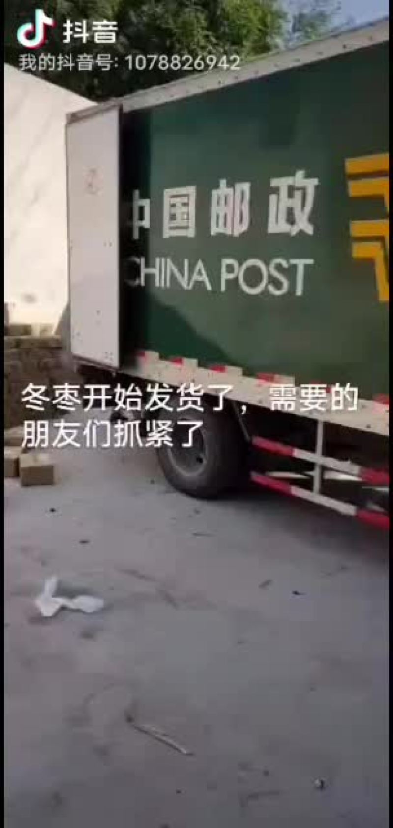 冬枣拐二，对接电商，一件代发产地实力代办