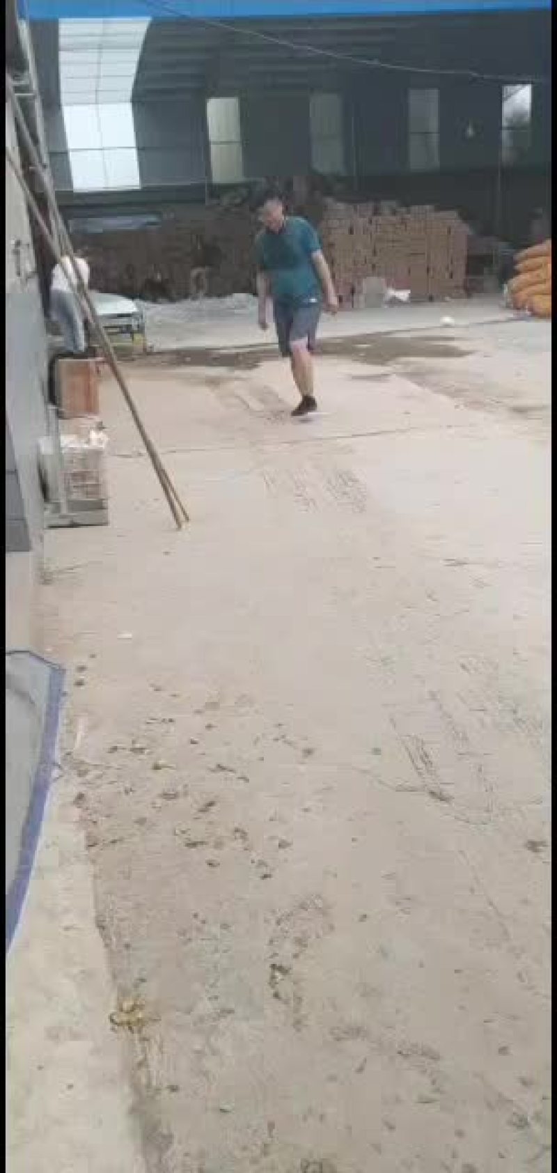 沾化冬枣电商对接一件代发拥有自己的大型场地，专业收货团