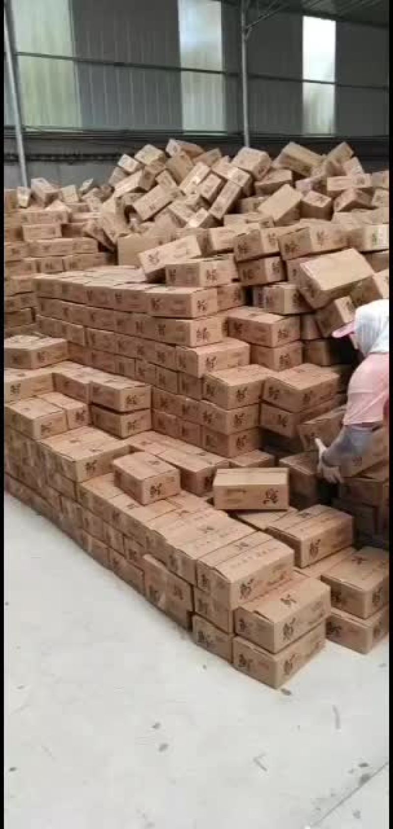沾化冬枣电商对接一件代发拥有自己的大型场地，专业收货团