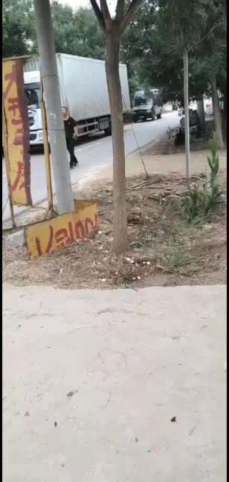 沾化冬枣电商对接一件代发拥有自己的大型场地，专业收货团