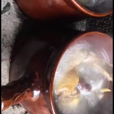果木柴火中药滋补鸡汤