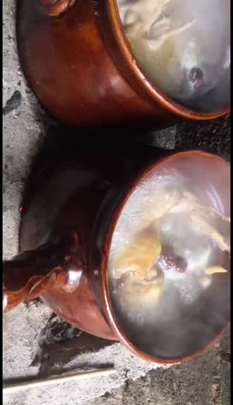 果木柴火中药滋补鸡汤