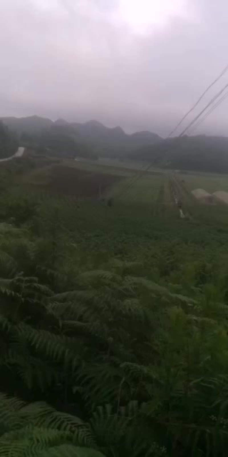 出租蔬菜基地，水电路三通有保障，地里设备齐全，海拨1千七