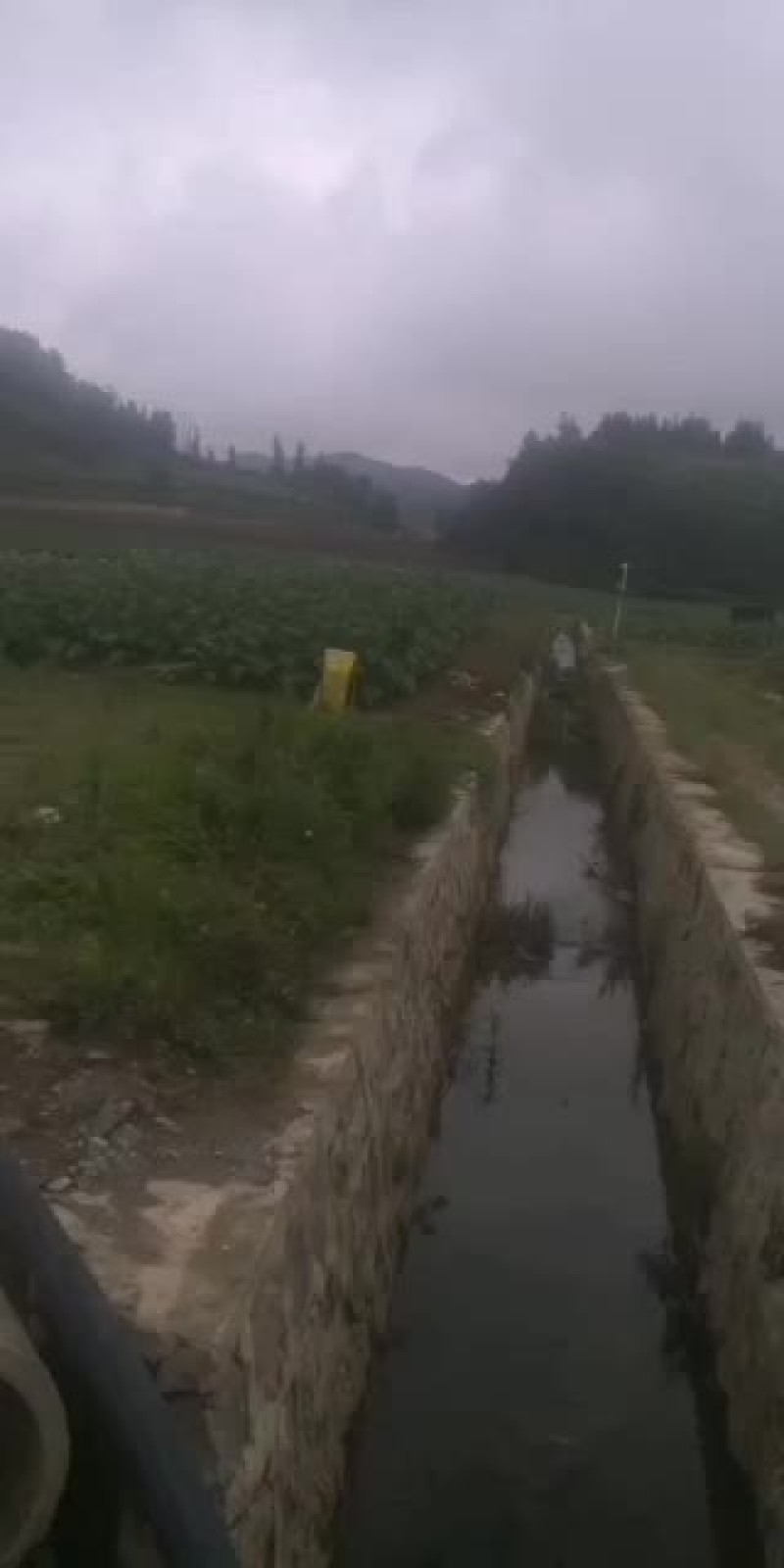 出租蔬菜基地，水电路三通有保障，地里设备齐全，海拨1千七