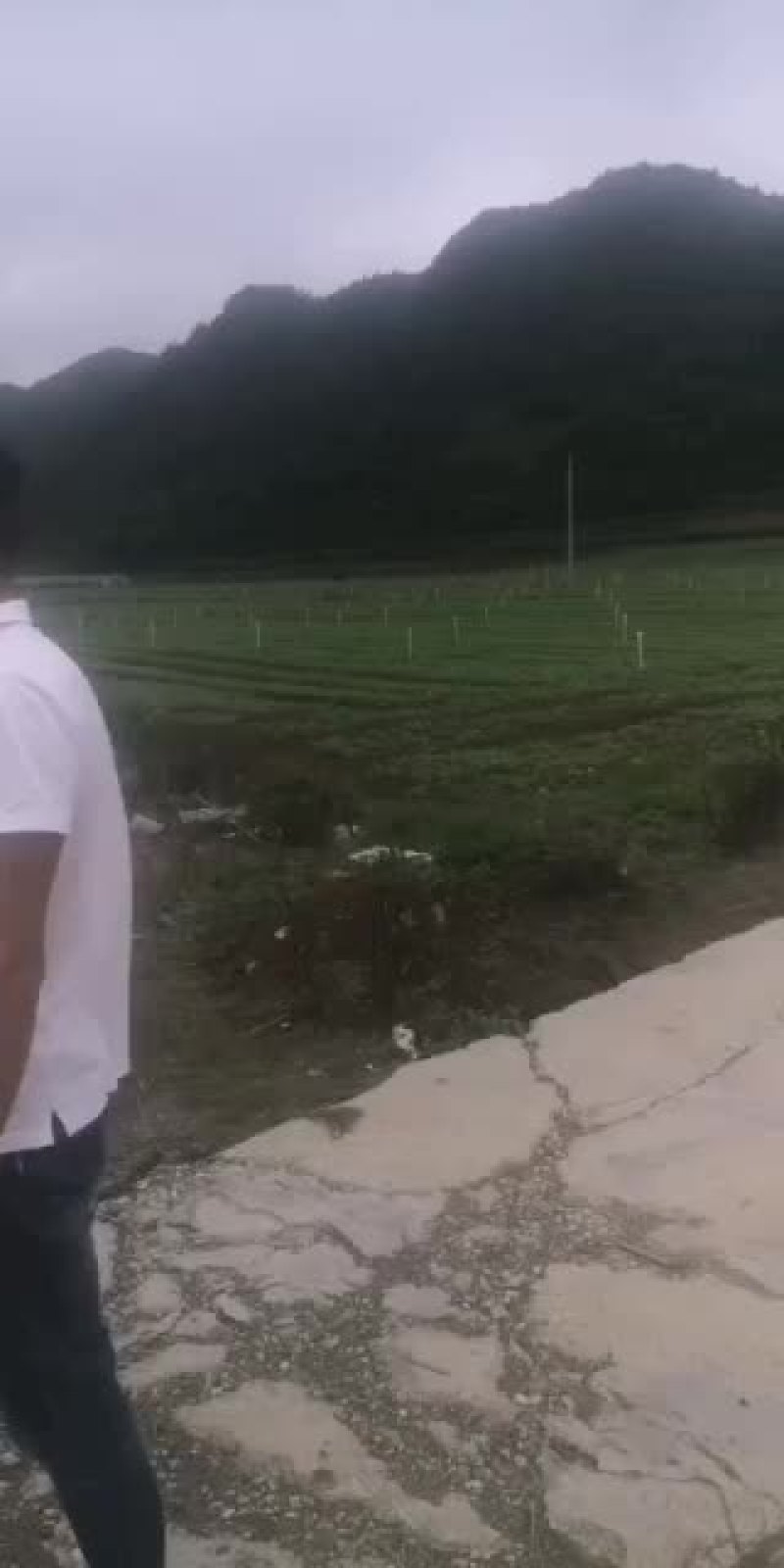 出租蔬菜基地，水电路三通有保障，地里设备齐全，海拨1千七