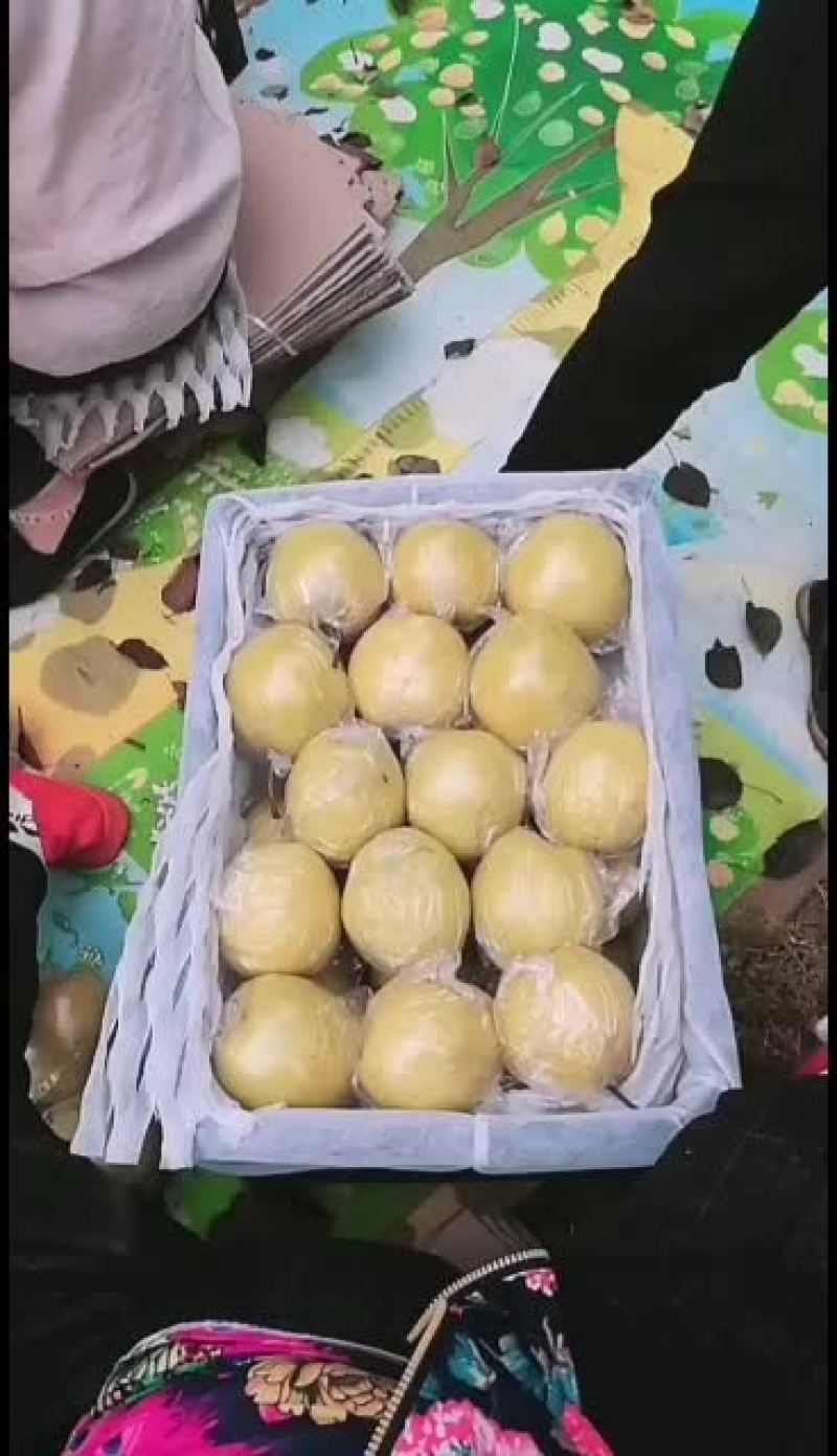 雪花梨涨价了，赶紧联系！