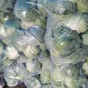 有要大头菜的连系我物美价廉
