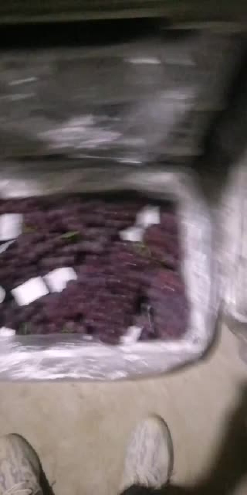 河北威县陆地巨峰葡萄