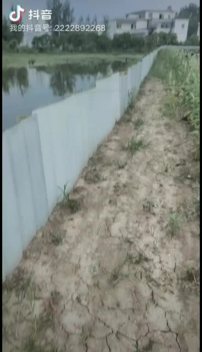 易峰生态甲鱼养殖专业合作社