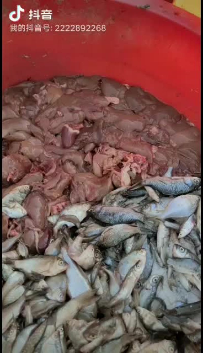 易峰生态甲鱼养殖专业合作社
