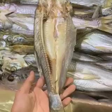 开背鱼，开片鱼，刁子鱼干度9.5成质量好颜色白干净