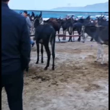 有想要的联系价格美丽