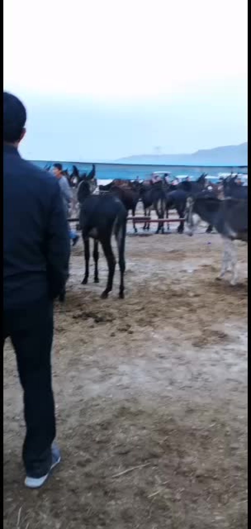 有想要的联系价格美丽