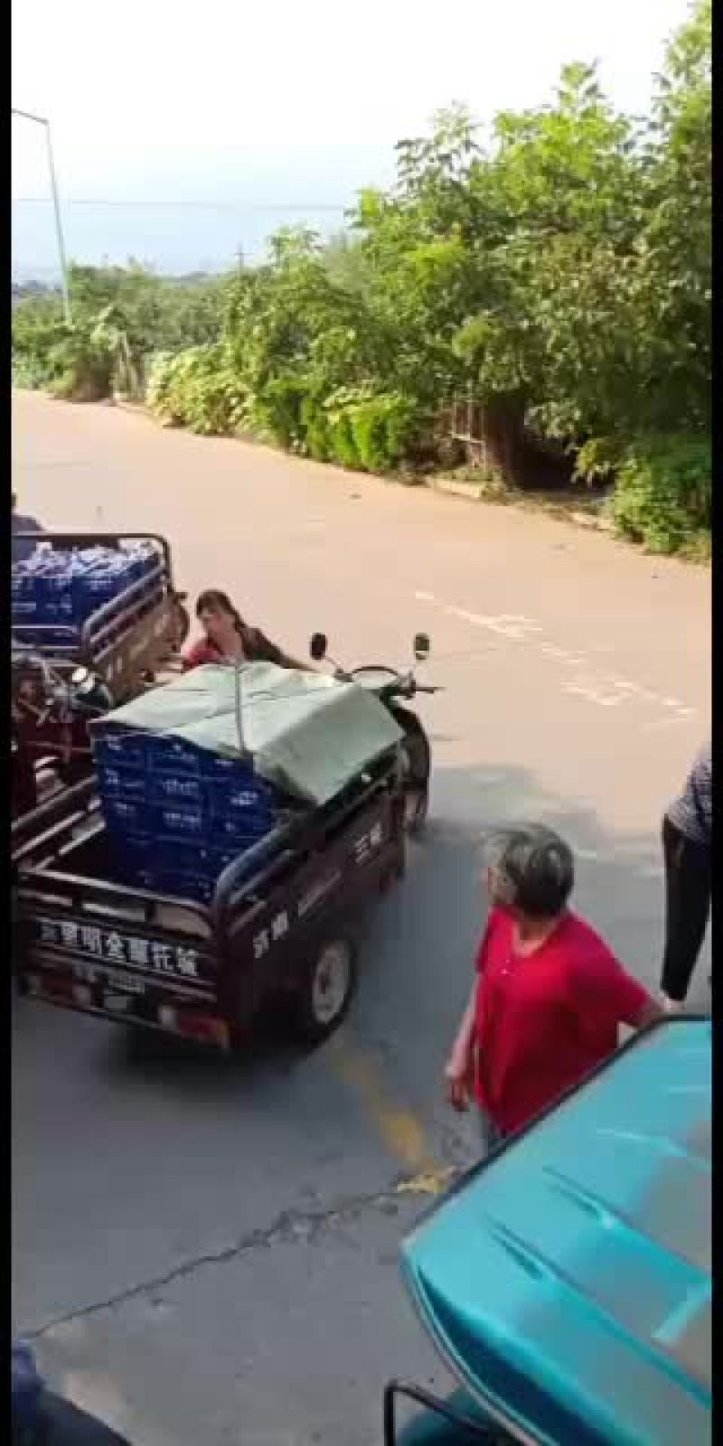 巨峰葡萄，正宗的沂蒙山地区巨峰葡萄