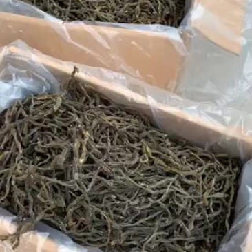 特级架豆王20年新货