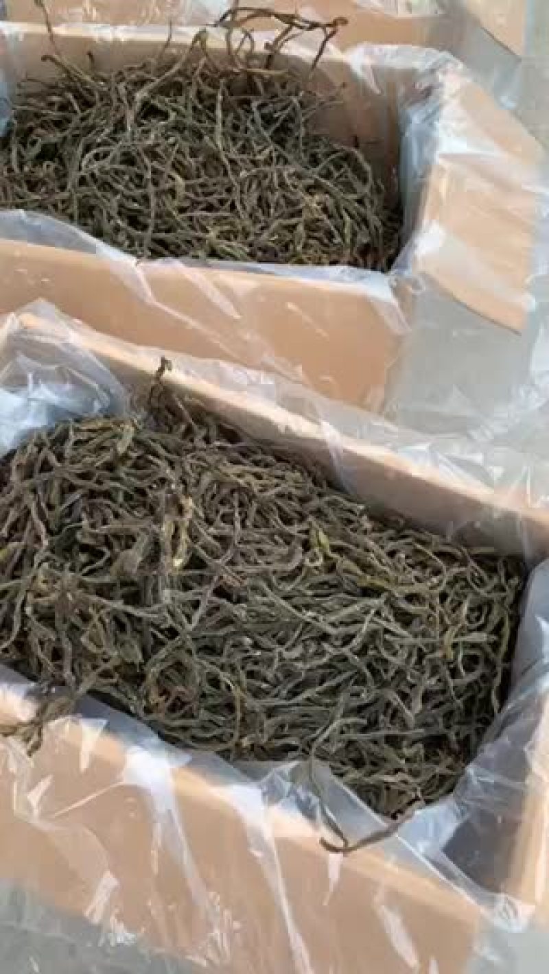 特级架豆王20年新货