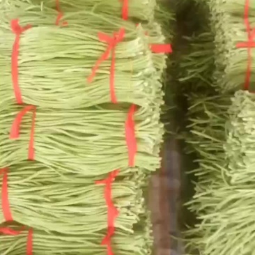 优质豆角