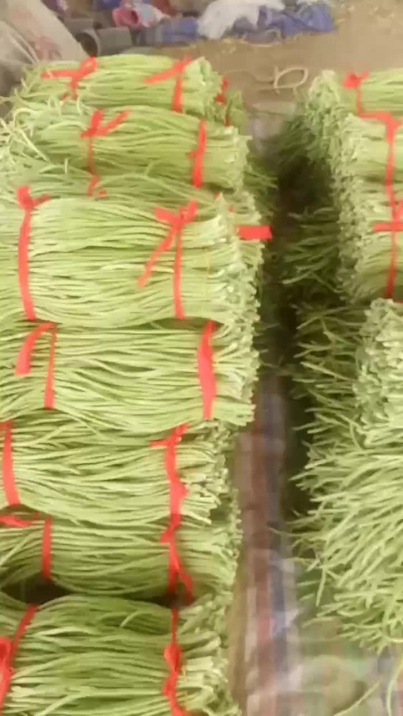 优质豆角