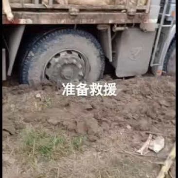 大量出售育肥羊，公母都有