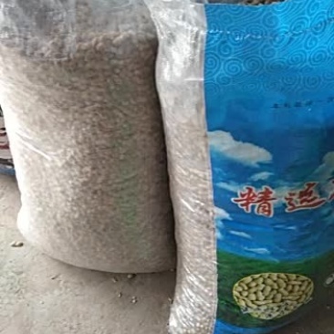 石城县铁锅炒湿仔花生