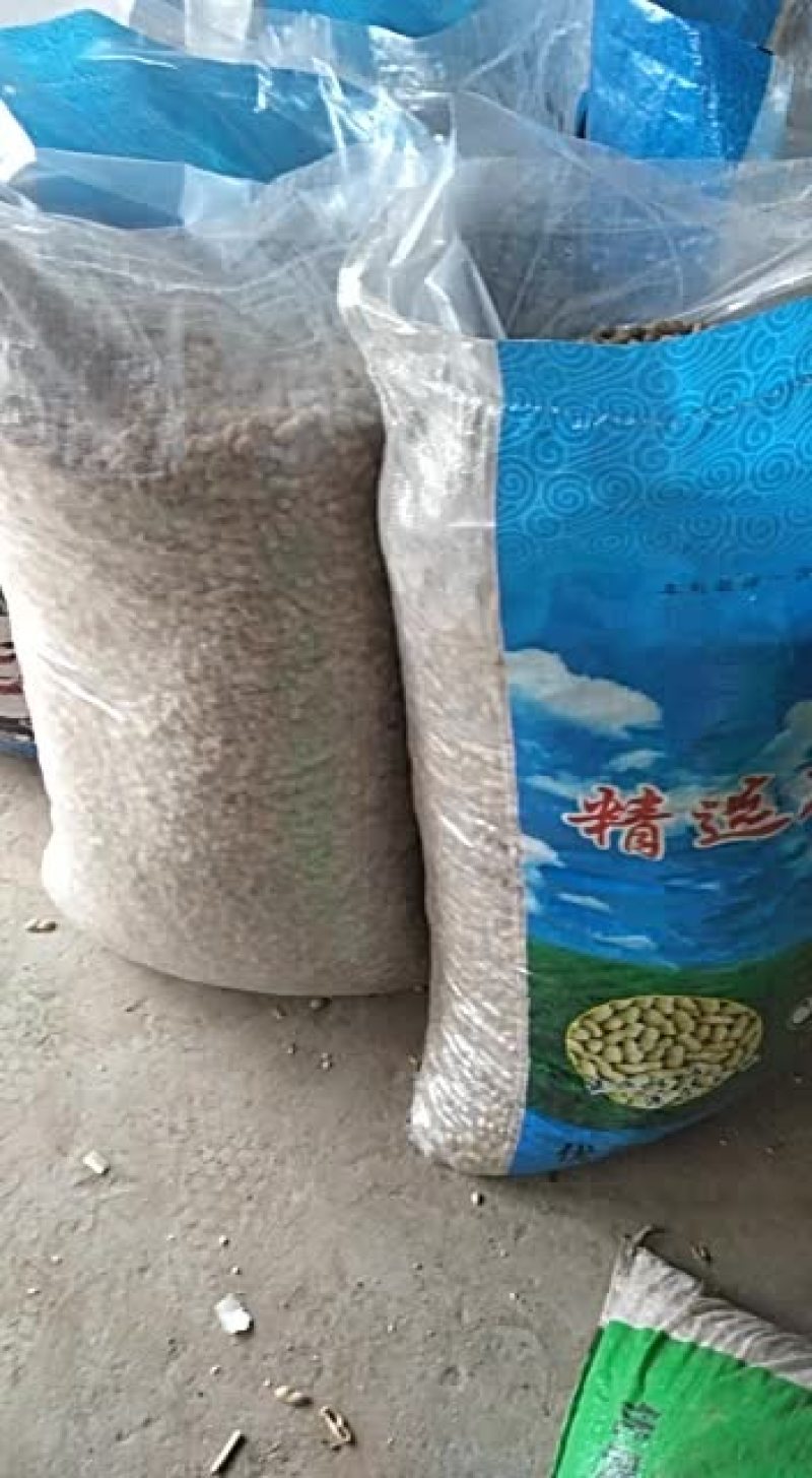 石城县铁锅炒湿仔花生