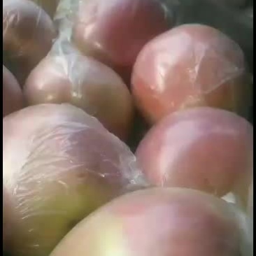 中秋王苹果大型果个大色好口感好