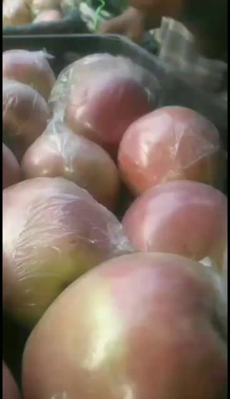 中秋王苹果大型果个大色好口感好