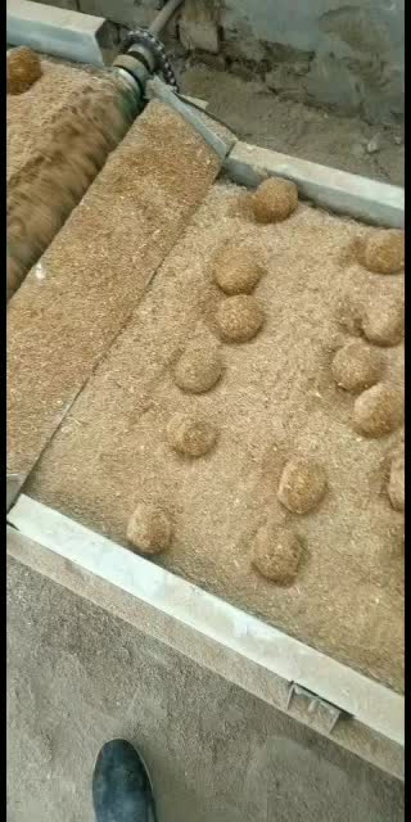 河南，变蛋，鸡皮蛋，五香变蛋，常年大量供应！