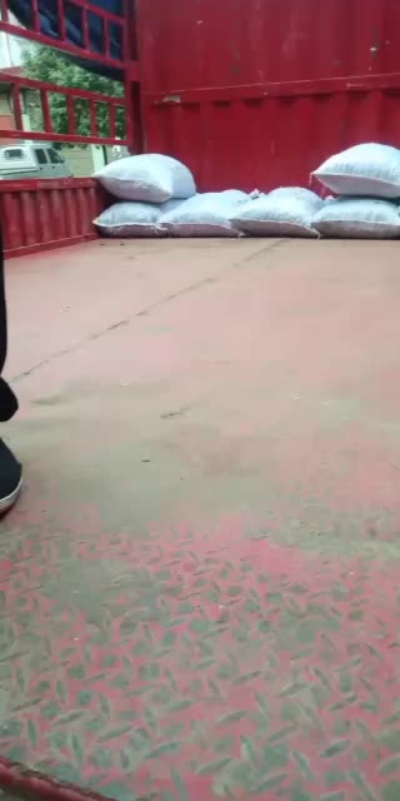 油栗大量有货可以发班车发整车发保鲜车