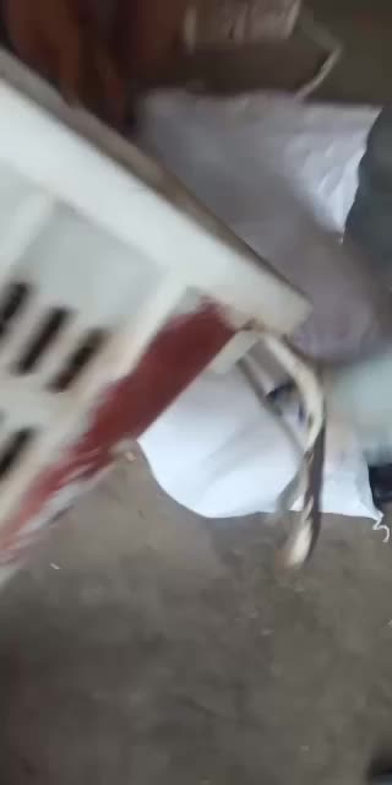 油栗大量有货可以发班车发整车发保鲜车