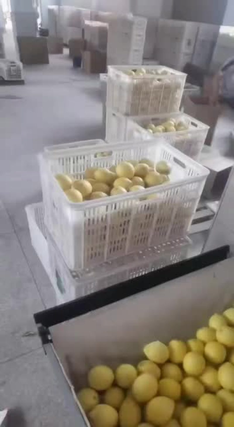 万州柠檬产地直供欢迎新老客户咨询采购