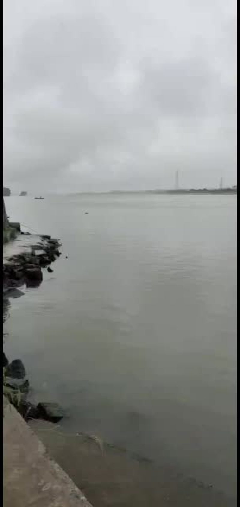 本地河虾，中号跟大号一起，本地货每天早上刚从江里上来