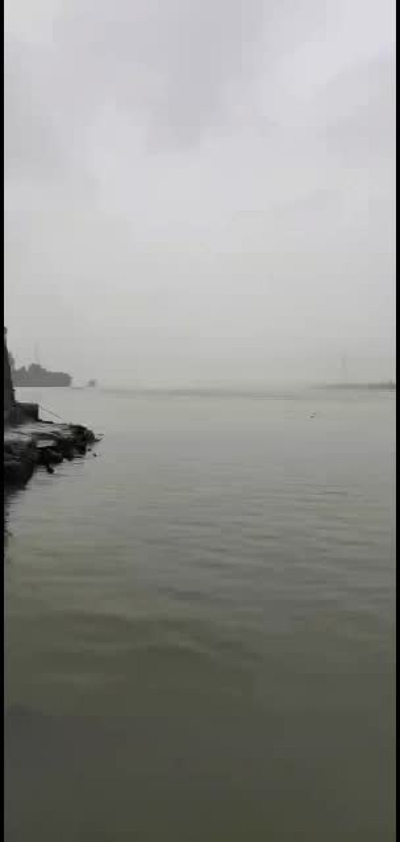本地河虾，中号跟大号一起，本地货每天早上刚从江里上来