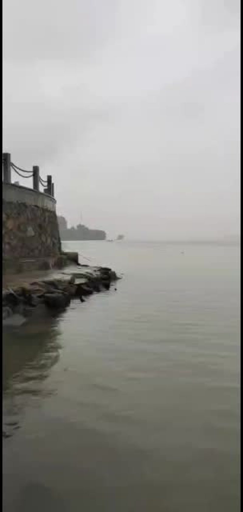 小号河虾，本地货每天早上刚从江里上来的