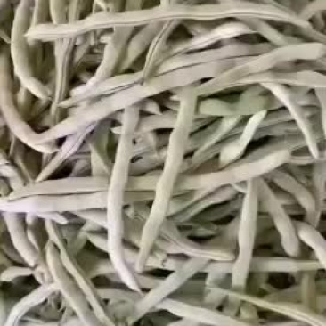 精品白不老，白云豆大量上市