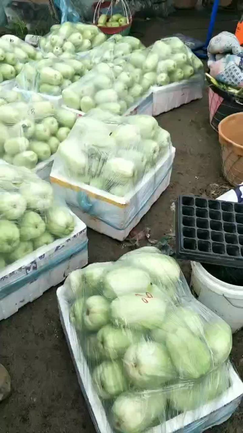 脆瓜