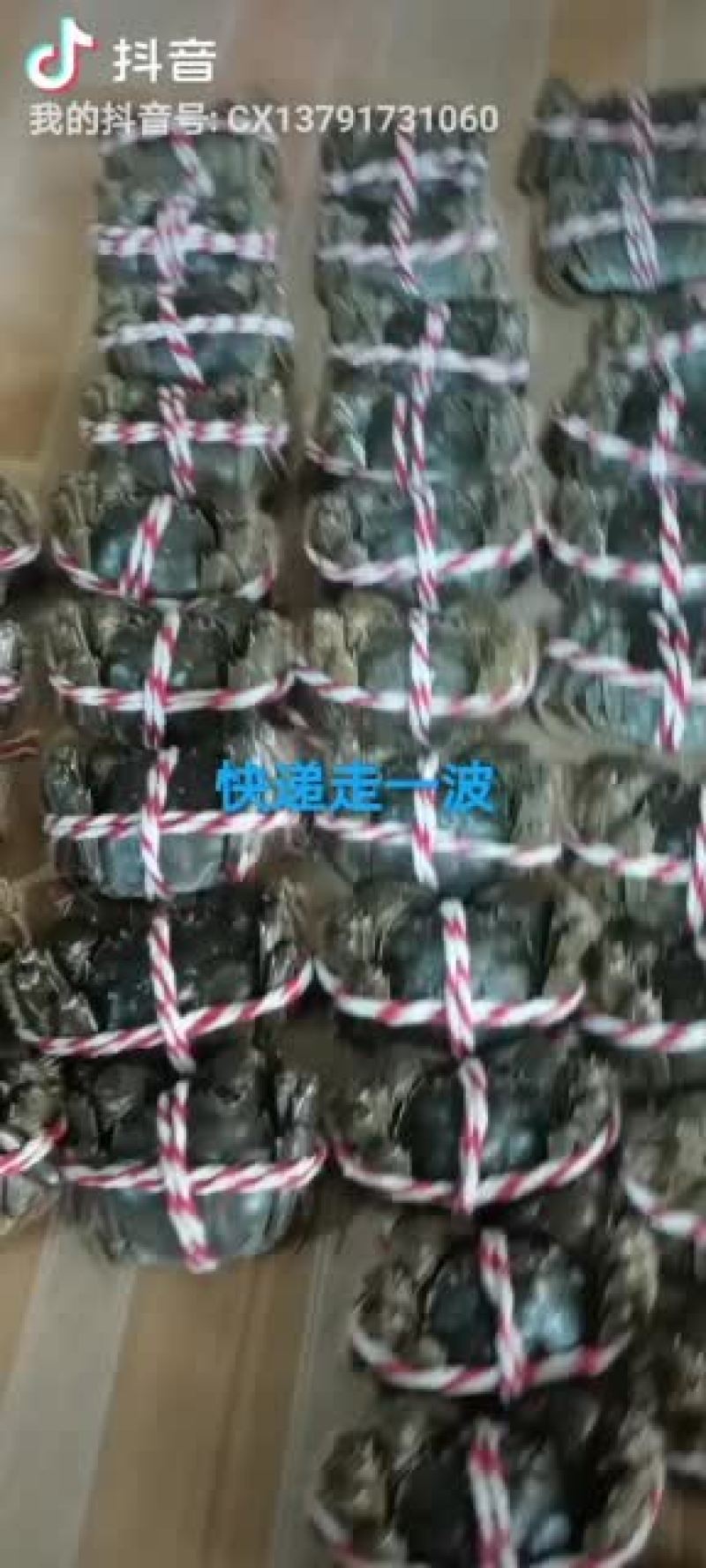 大闸蟹，微山湖大闸蟹，送亲访友，礼盒装