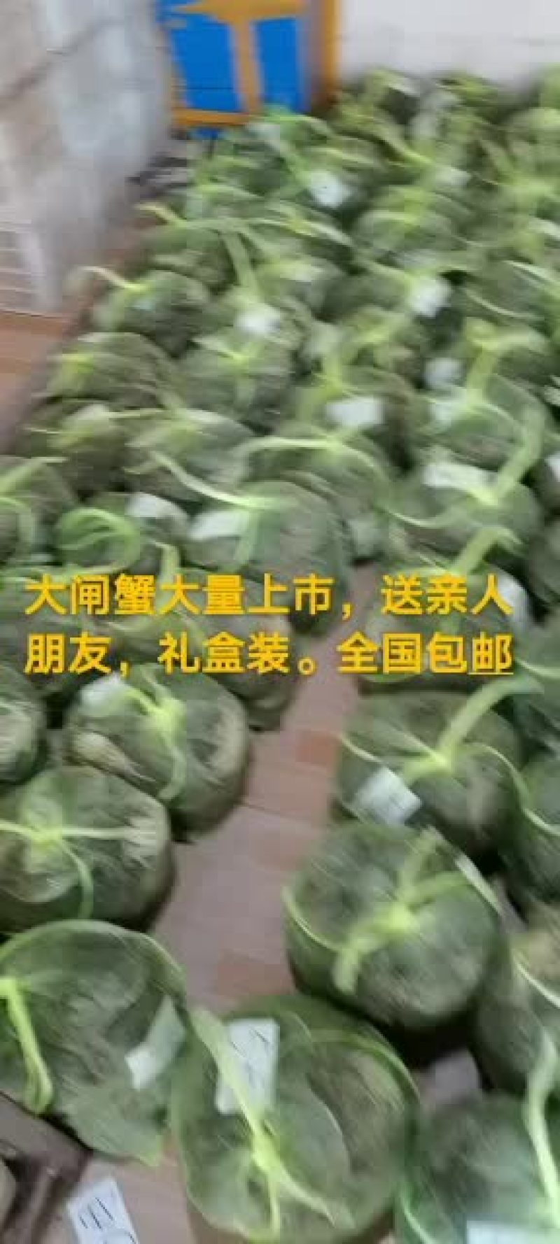 大闸蟹，微山湖大闸蟹，送亲访友，礼盒装