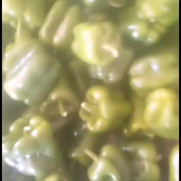 唐山各种蔬菜大量现货，有需要的联系我