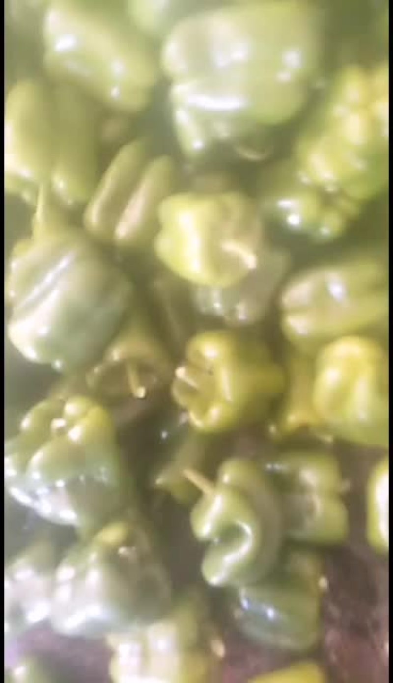 唐山各种蔬菜大量现货，有需要的联系我