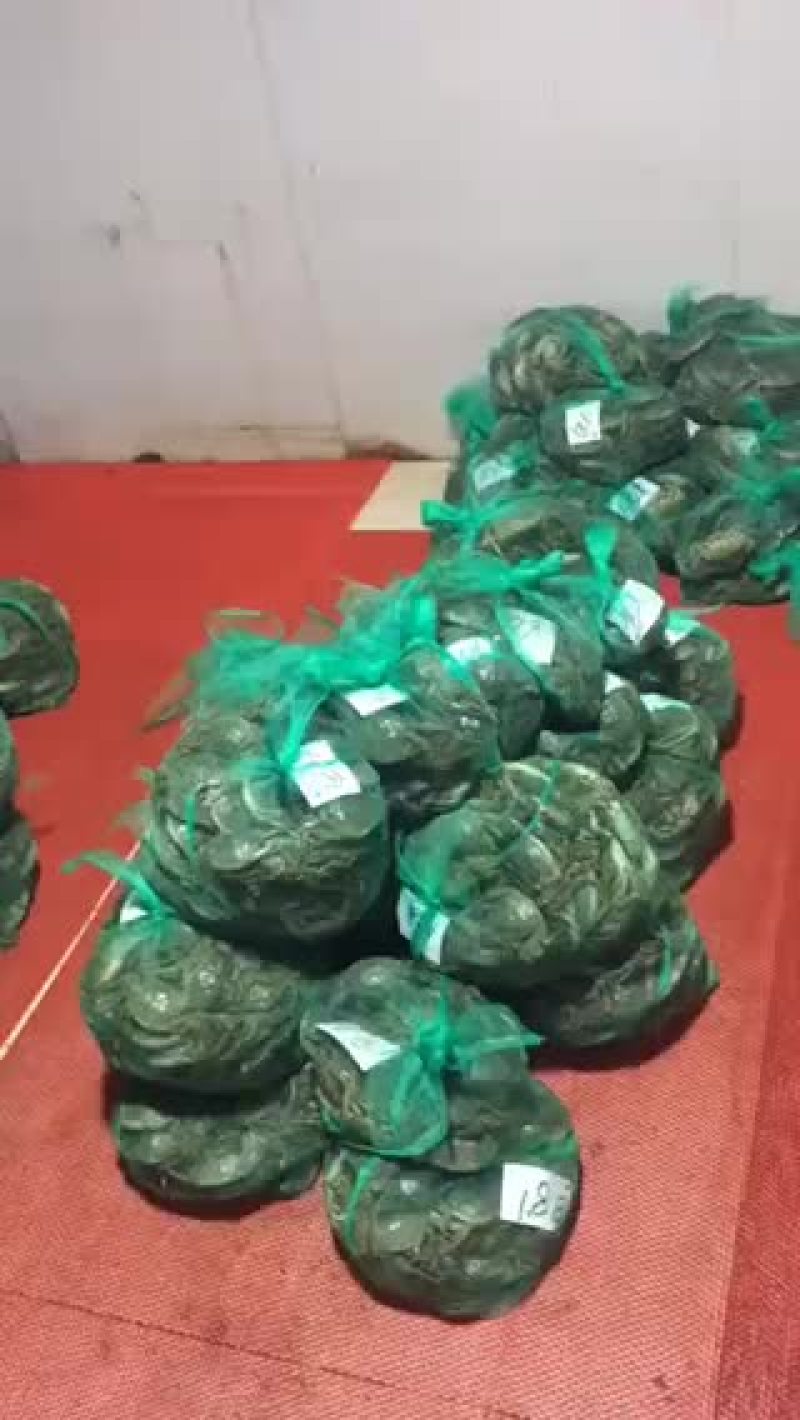 大闸蟹批发零售真诚合作