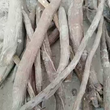 内蒙新货赤芍统货量大从优