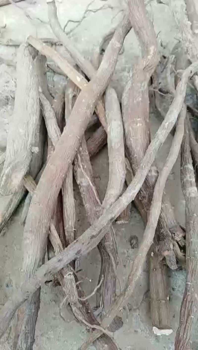 内蒙新货赤芍统货量大从优