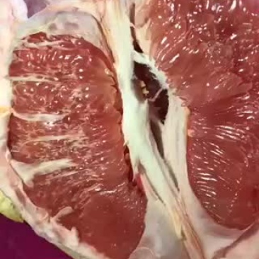 中秋送礼抓紧咯