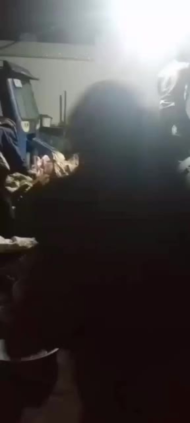 野生产品坚果生松子有手工制作剥皮的有机器削皮的