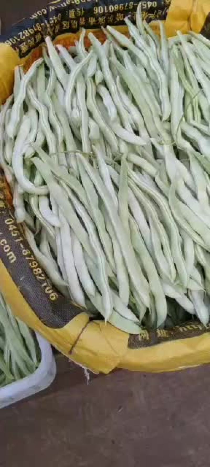 乐亭县冷棚豆角大量供应，有小豆角，白不老，大扁豆，油豆