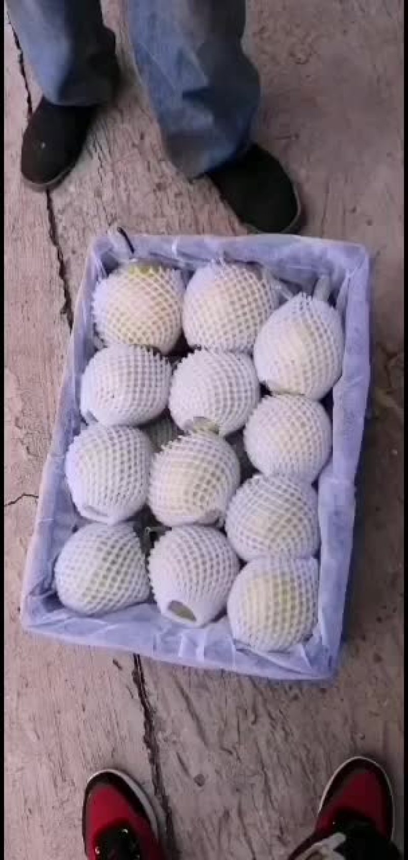 雪花梨出售中，欢迎采购！